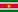 Minilippu Suriname.png